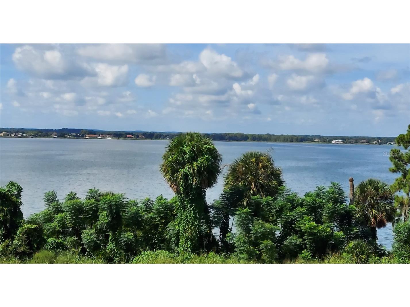 576 Casey Loop Mount Dora FL 32757 G5082212 image1