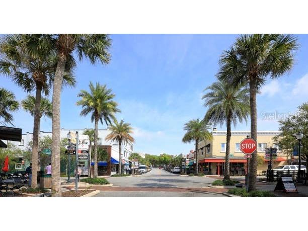 576 Casey Loop Mount Dora FL 32757 - LAKE DORA G5084859 image36