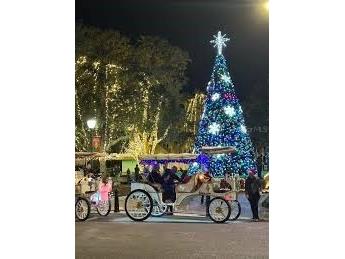 576 Casey Loop Mount Dora FL 32757 - LAKE DORA G5084859 image41