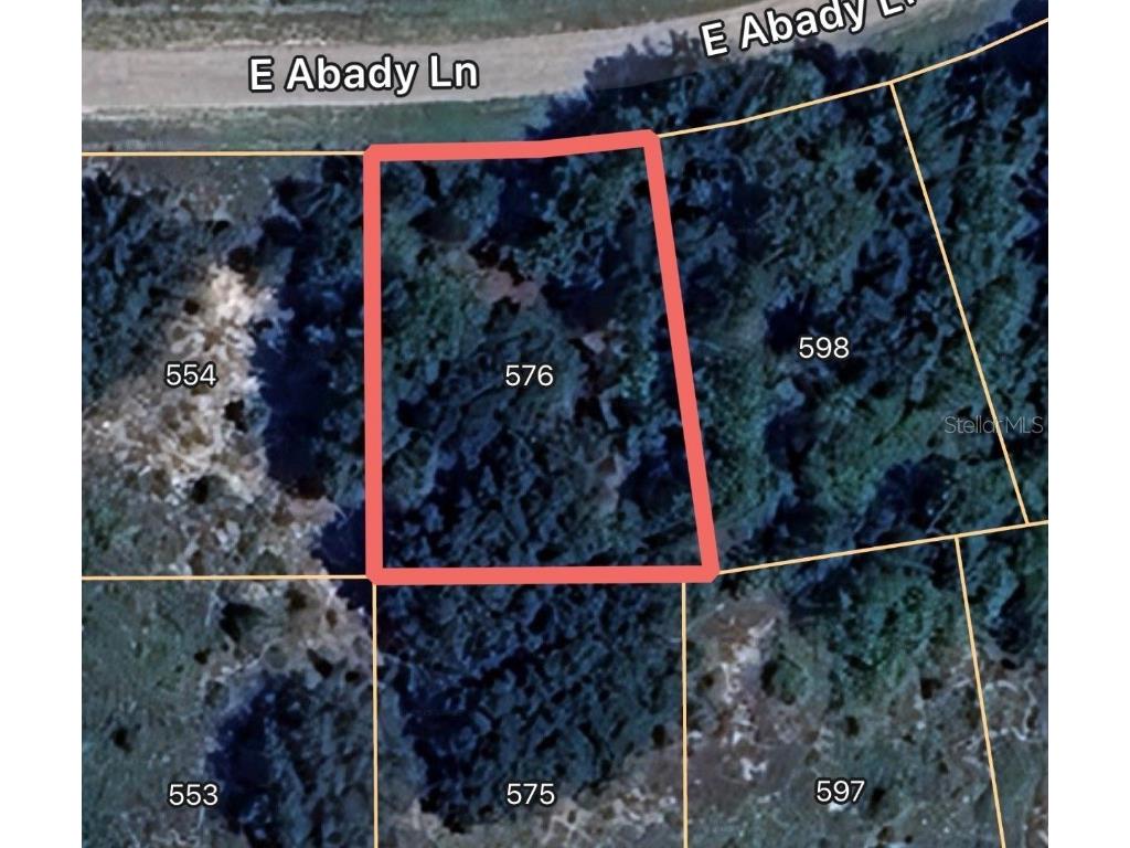 576 E Abady Lane Dunnellon FL 34434 OM713974 image1