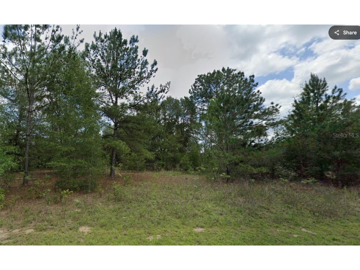 576 E Abady Lane Dunnellon FL 34434 OM713974 image2