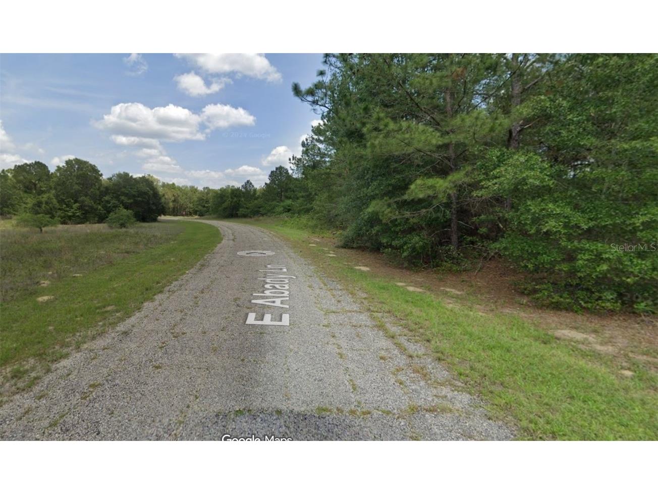 576 E Abady Lane Dunnellon FL 34434 OM713974 image3