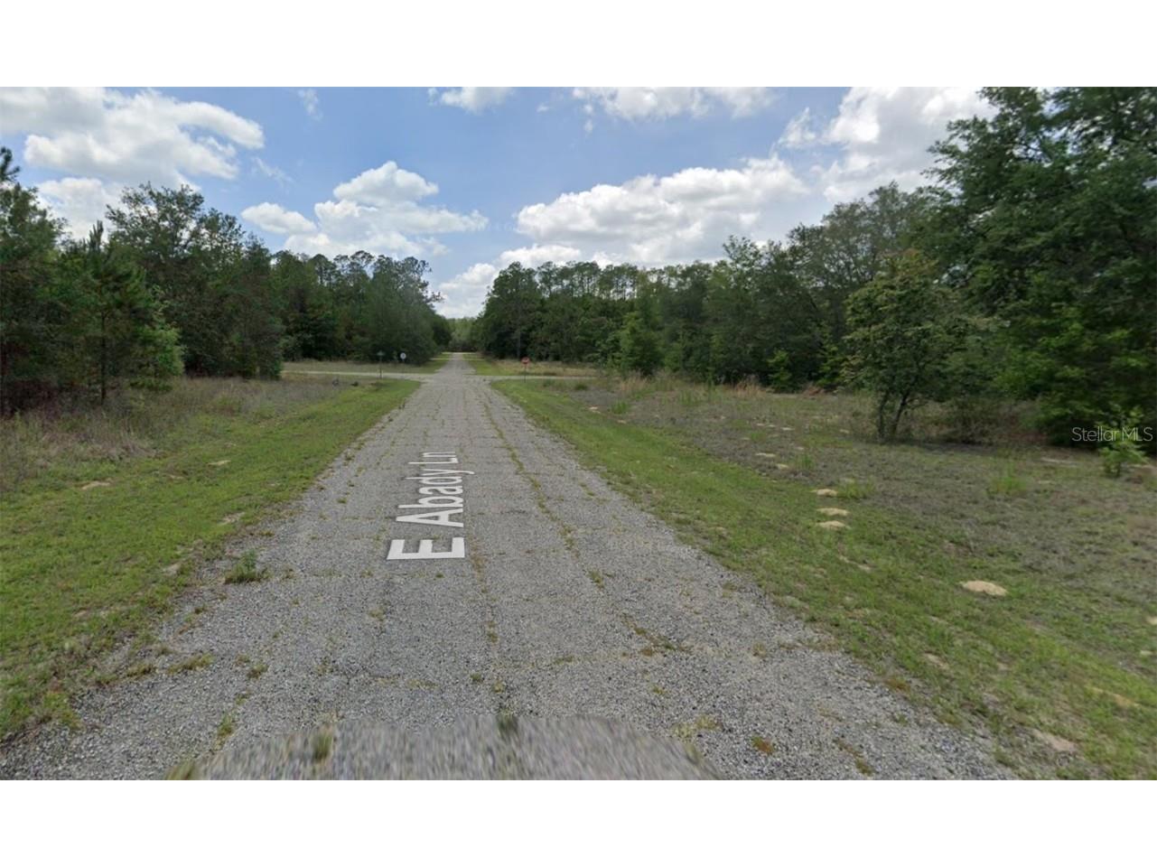 576 E Abady Lane Dunnellon FL 34434 OM713974 image4