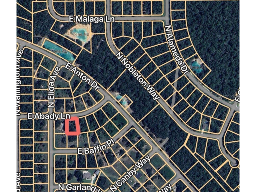 576 E Abady Lane Dunnellon FL 34434 OM713974 image5