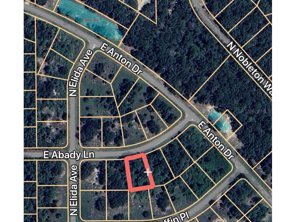 576 E Abady Lane Dunnellon FL 34434 OM713974 image6