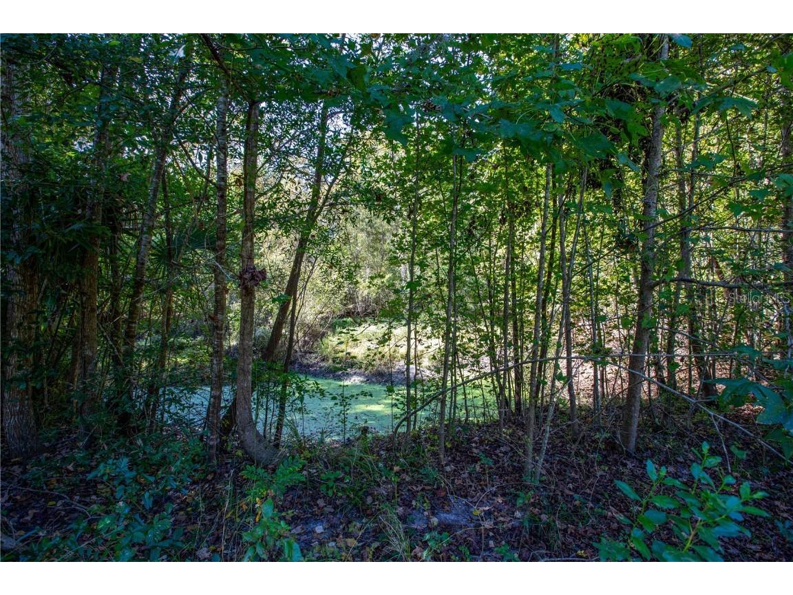 576 SE Mayhall Terrace Lake City FL 32025 GC535359 image26