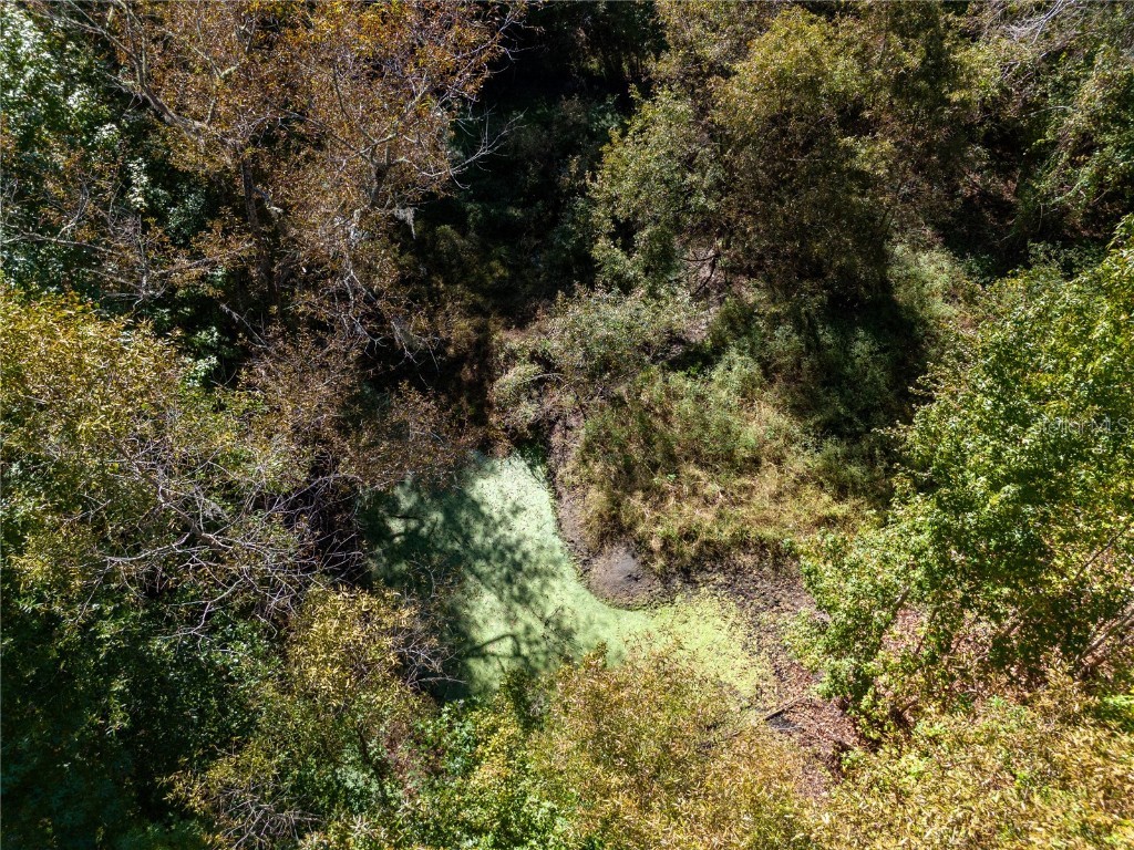 576 SE Mayhall Terrace Lake City FL 32025 GC535359 image39