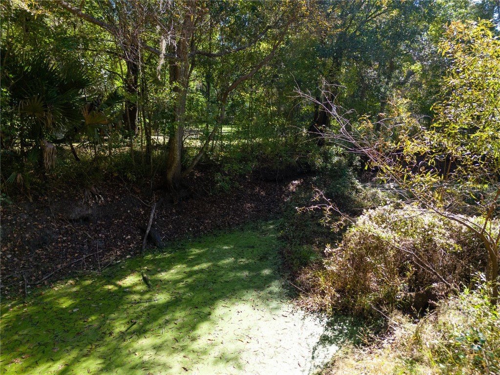 576 SE Mayhall Terrace Lake City FL 32025 GC535359 image40