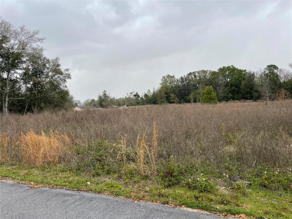 5763 NW 4th Street Ocala FL 34482 S5100278 image1