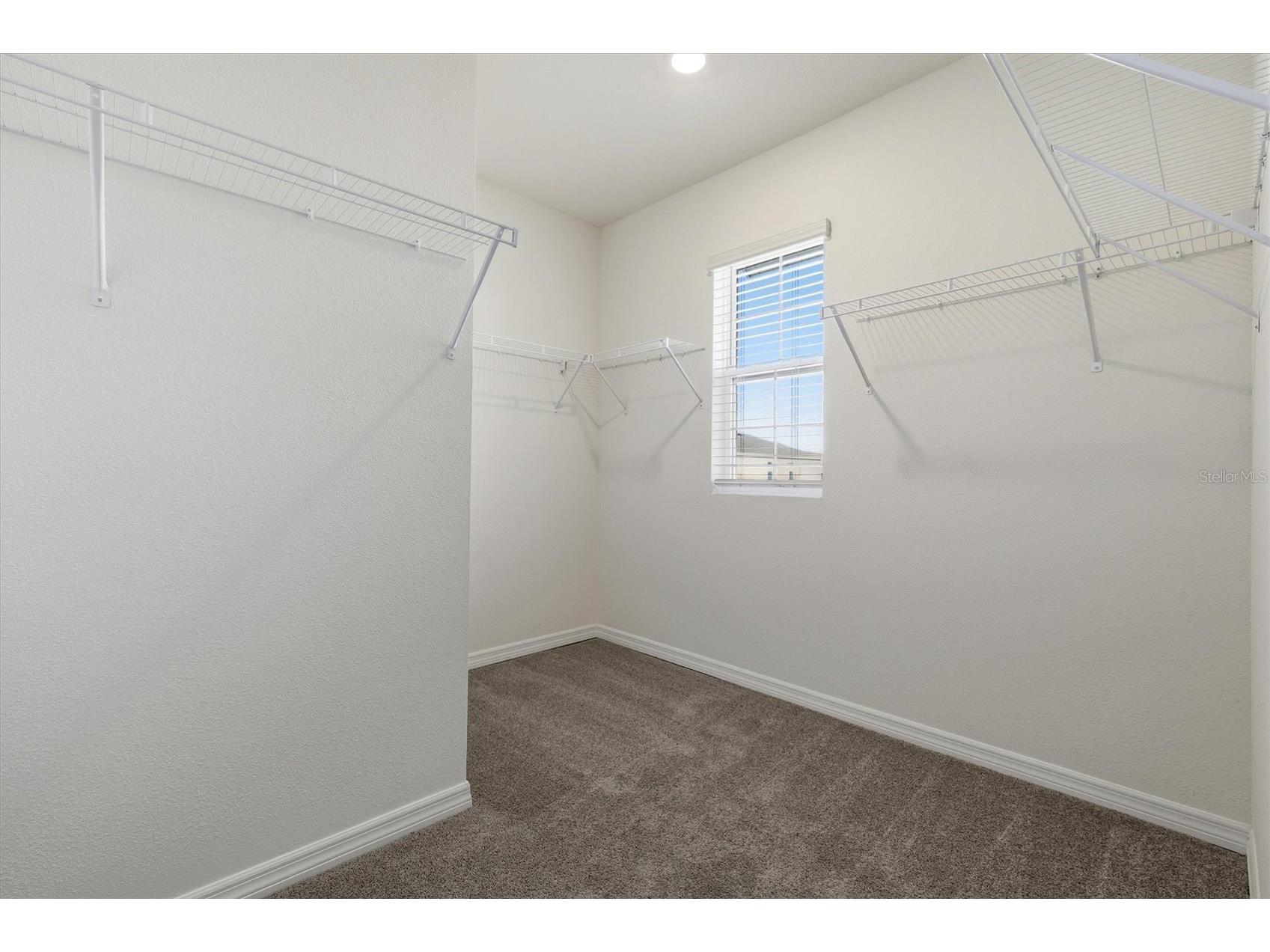 5764 Hollingworth Trail Wesley Chapel FL 33545 TB8471330 image30