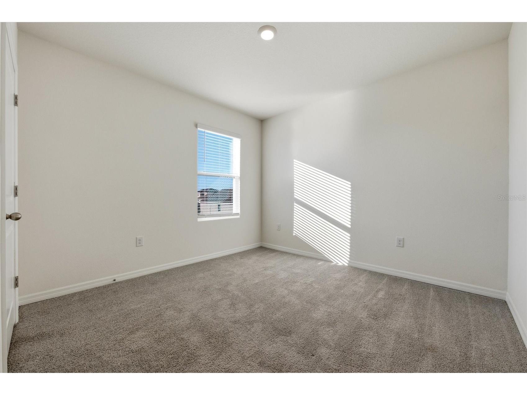 5764 Hollingworth Trail Wesley Chapel FL 33545 TB8471330 image38