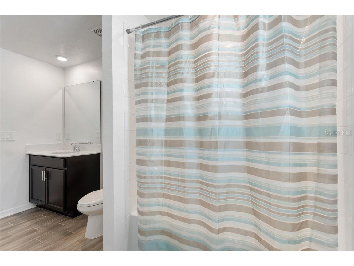 5767 Talc Street Mount Dora FL 32757 S5139323 image17