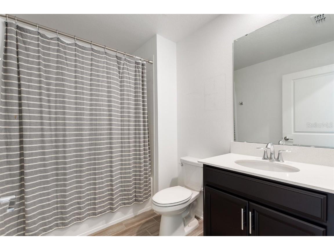 5767 Talc Street Mount Dora FL 32757 S5139323 image7