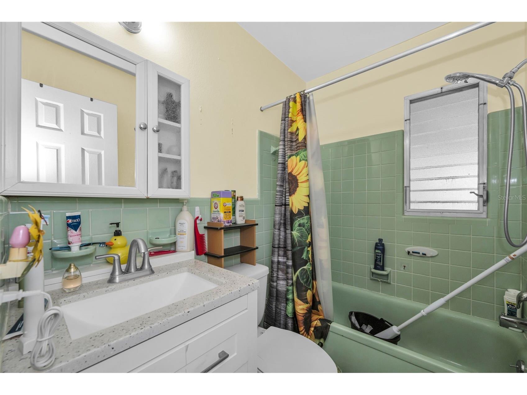 5769 Dartmouth Avenue N Saint Petersburg FL 33710 TB8489488 image19