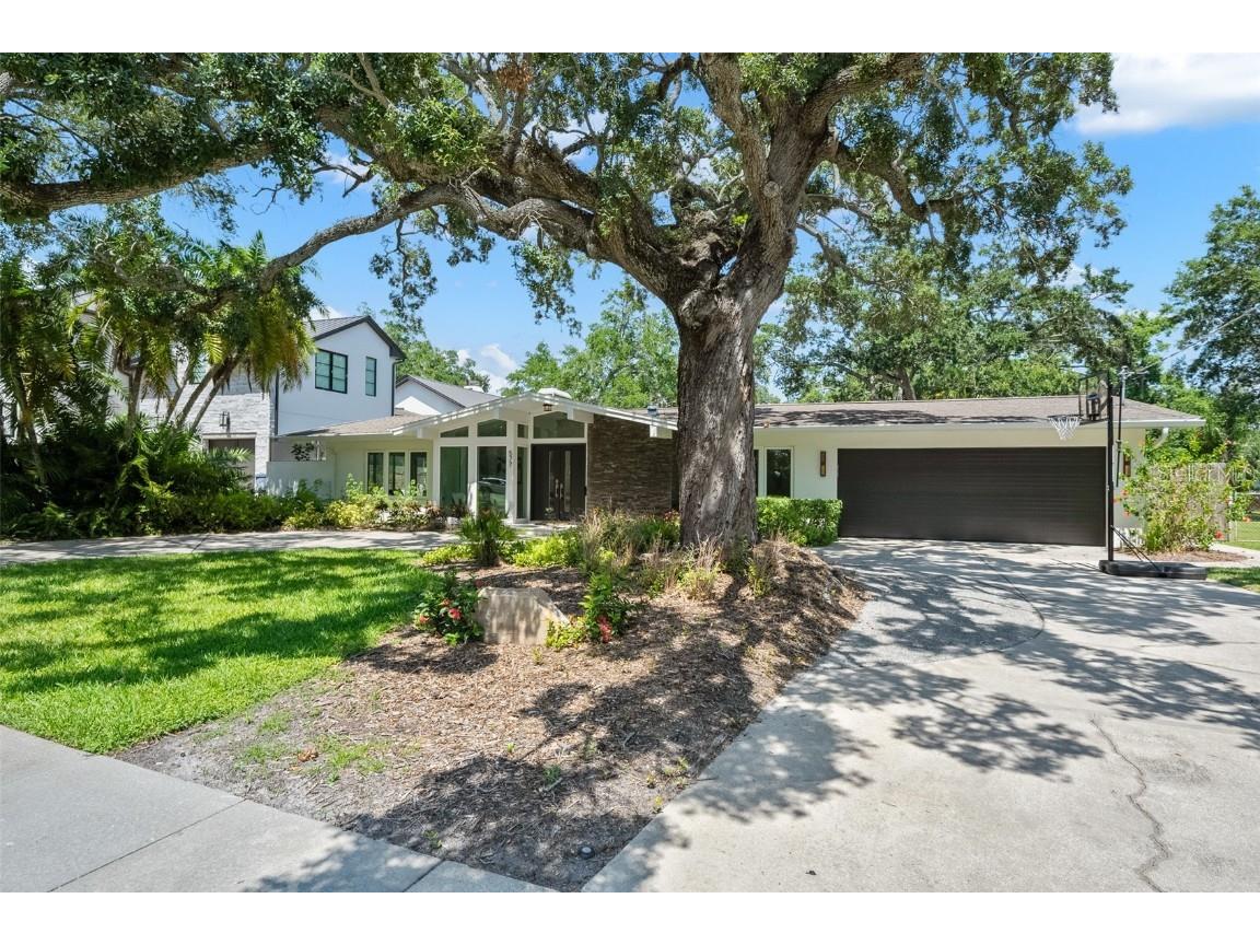 577 Riviera Drive Tampa FL 33606 T3456264 image1