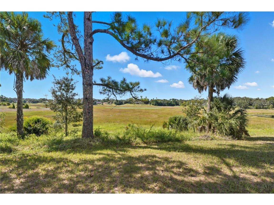 577 Waterfall Drive Spring Hill FL 34608 TB8433351 image40
