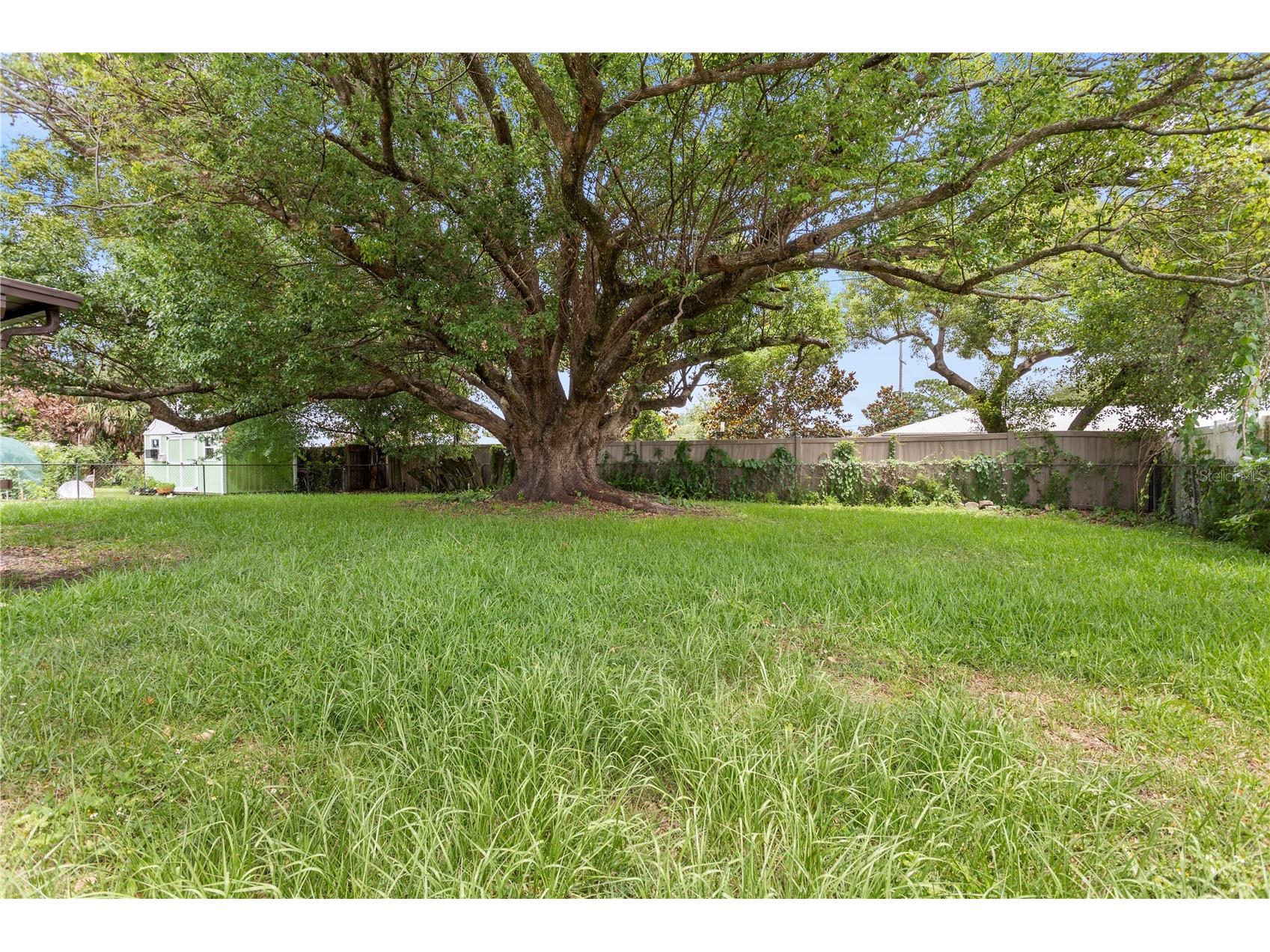 5771 Kislin Place Orlando FL 32807 O6416061 image27