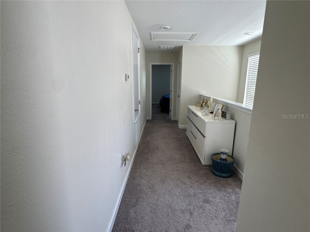 5771 Mangrove Cove Avenue Winter Garden FL 34787 O6288226 image27