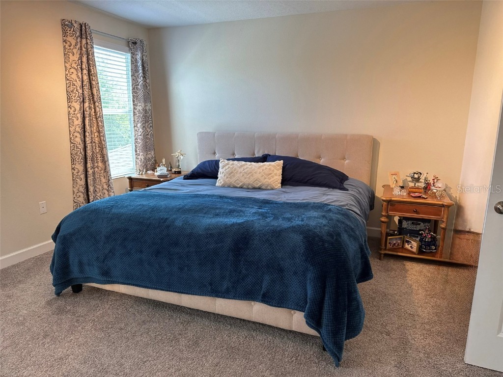 5771 Mangrove Cove Avenue Winter Garden FL 34787 O6288226 image28