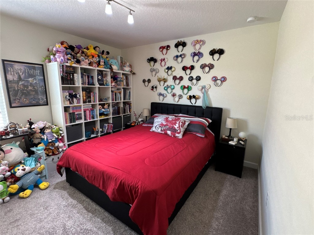 5771 Mangrove Cove Avenue Winter Garden FL 34787 O6288226 image37