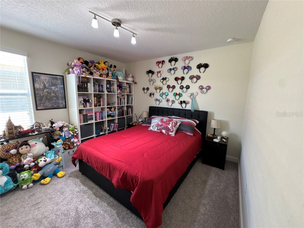 5771 Mangrove Cove Avenue Winter Garden FL 34787 O6288226 image39