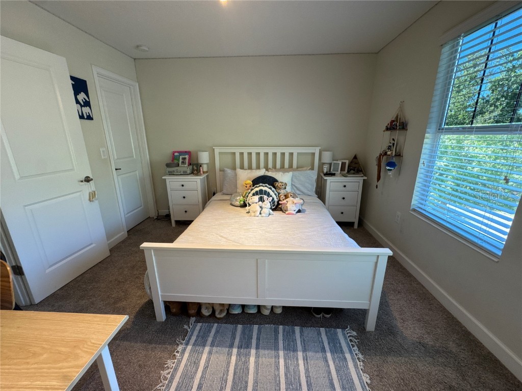 5771 Mangrove Cove Avenue Winter Garden FL 34787 O6288226 image42