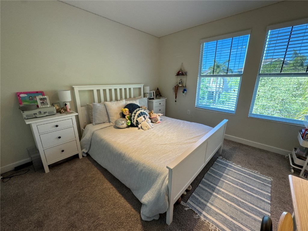 5771 Mangrove Cove Avenue Winter Garden FL 34787 O6288226 image43