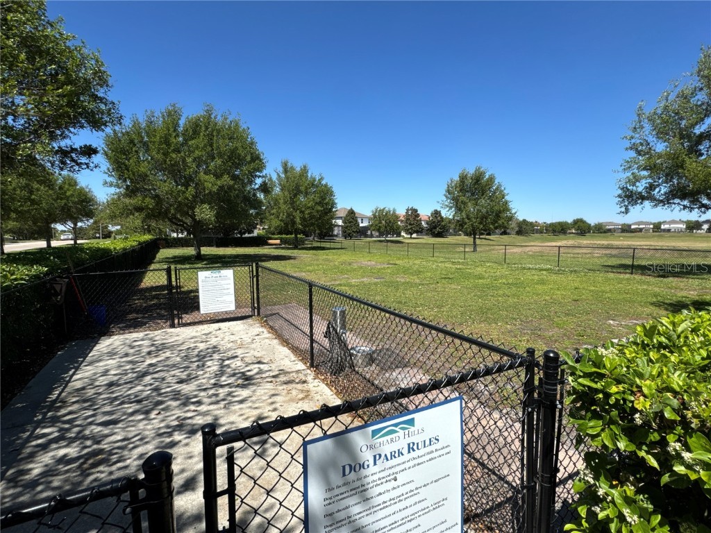 5771 Mangrove Cove Avenue Winter Garden FL 34787 O6288226 image63