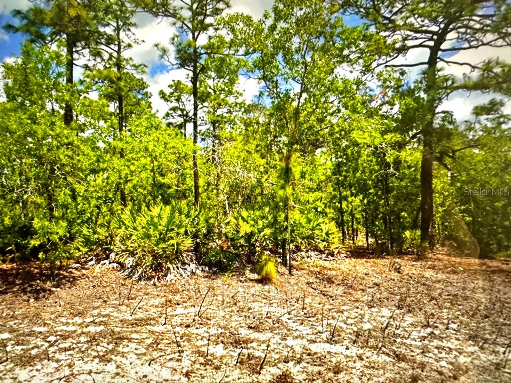 5771 W Corral Place Beverly Hills FL 34465 OM688189 image1