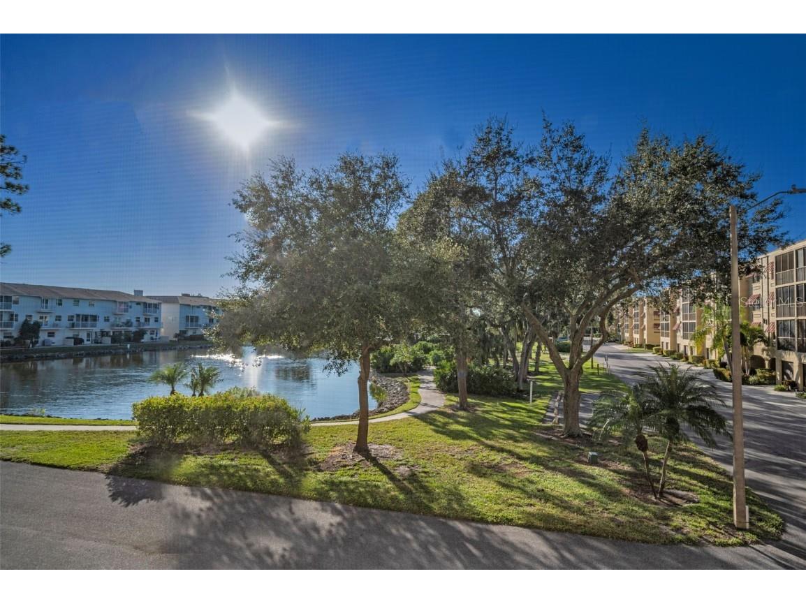 5775 Park Street N #211 Saint Petersburg FL 33709 - COMMUNITY POND TB8448734 image22