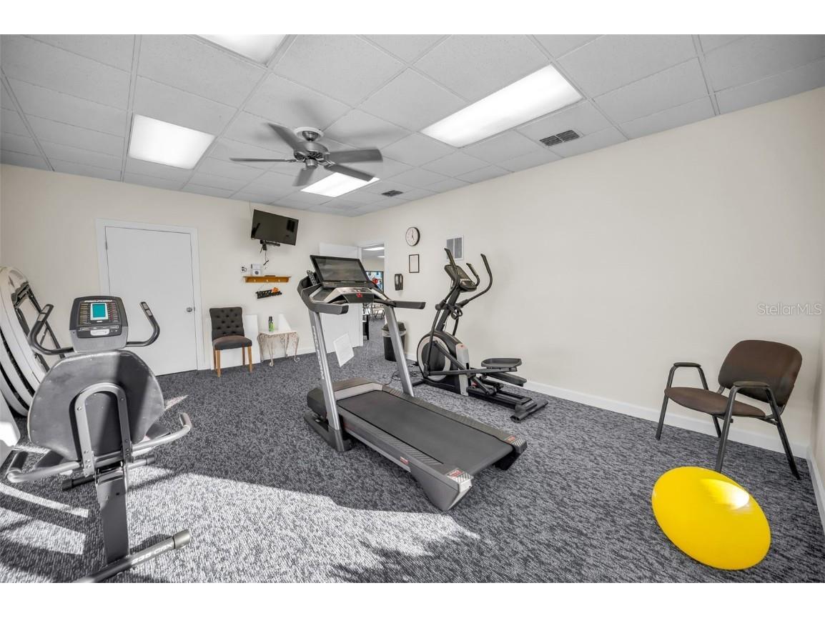 5775 Park Street N #211 Saint Petersburg FL 33709 - COMMUNITY POND TB8448734 image53