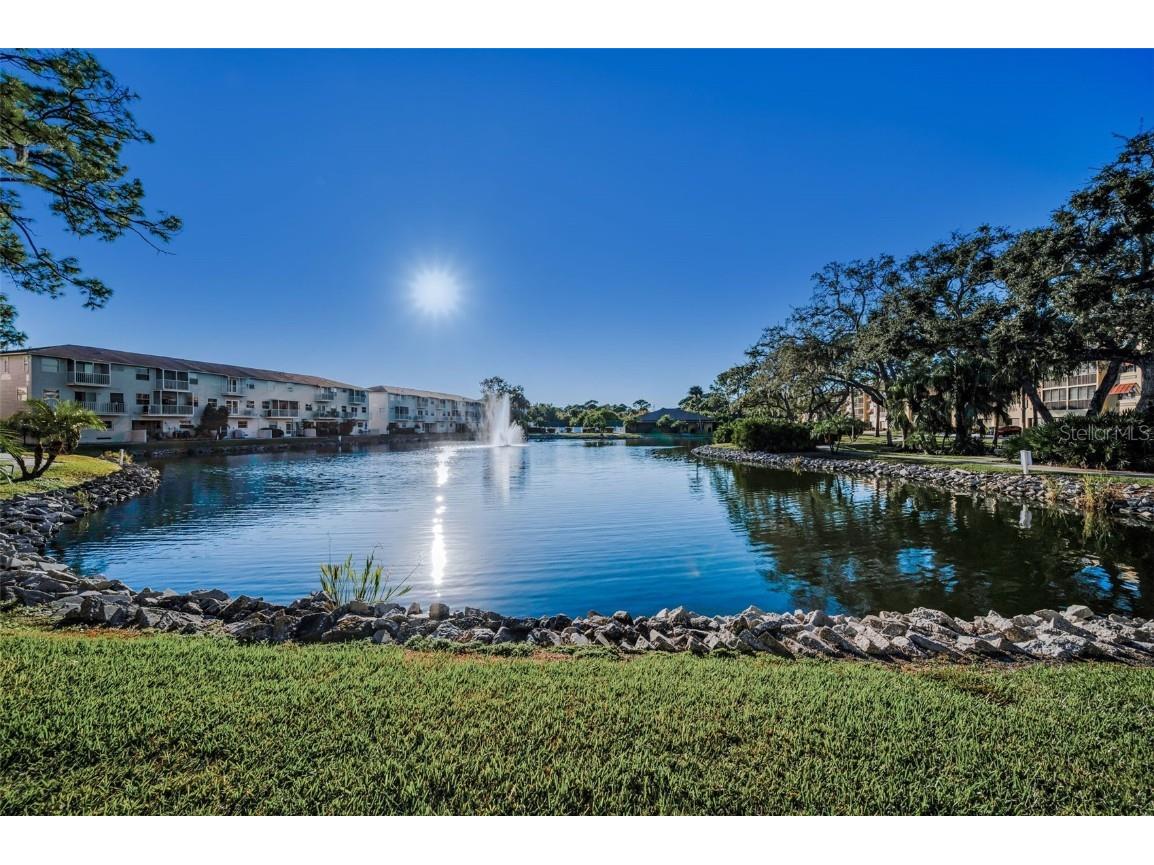 5775 Park Street N #211 Saint Petersburg FL 33709 - COMMUNITY POND TB8448734 image56