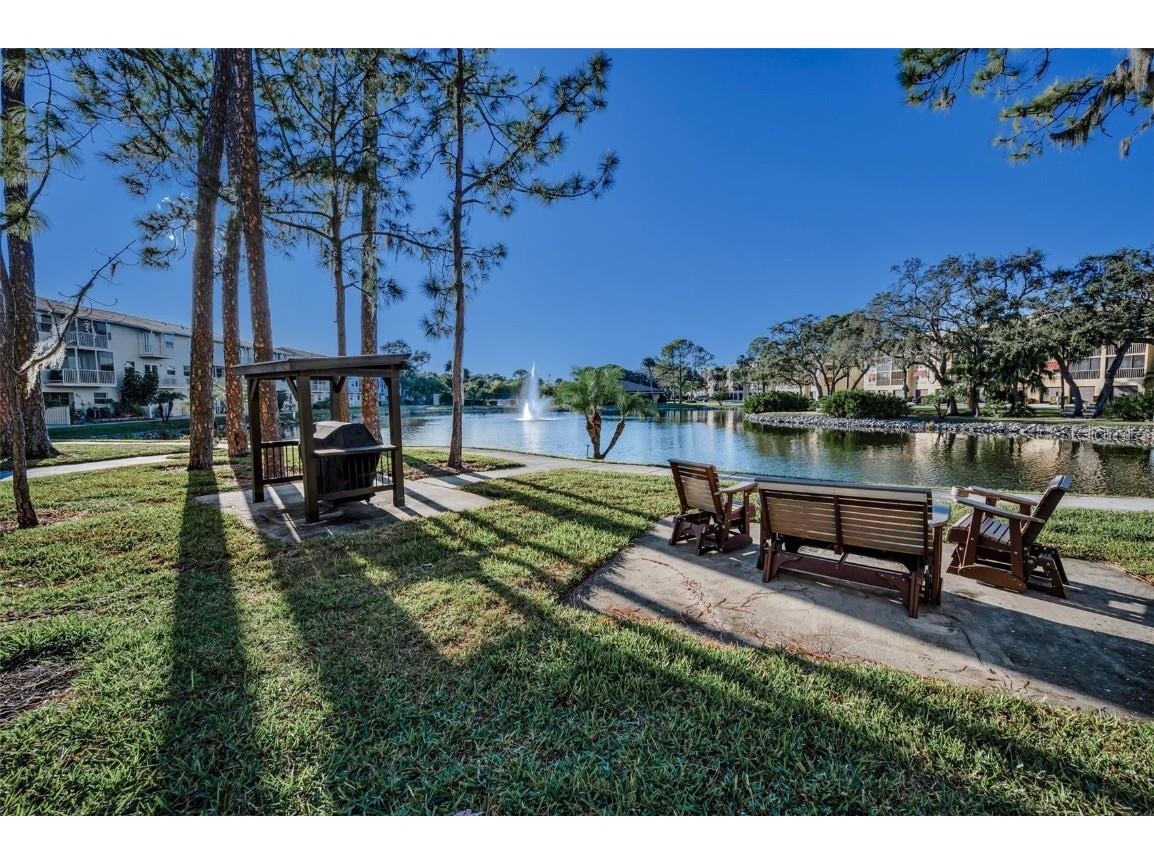 5775 Park Street N #211 Saint Petersburg FL 33709 - COMMUNITY POND TB8448734 image58