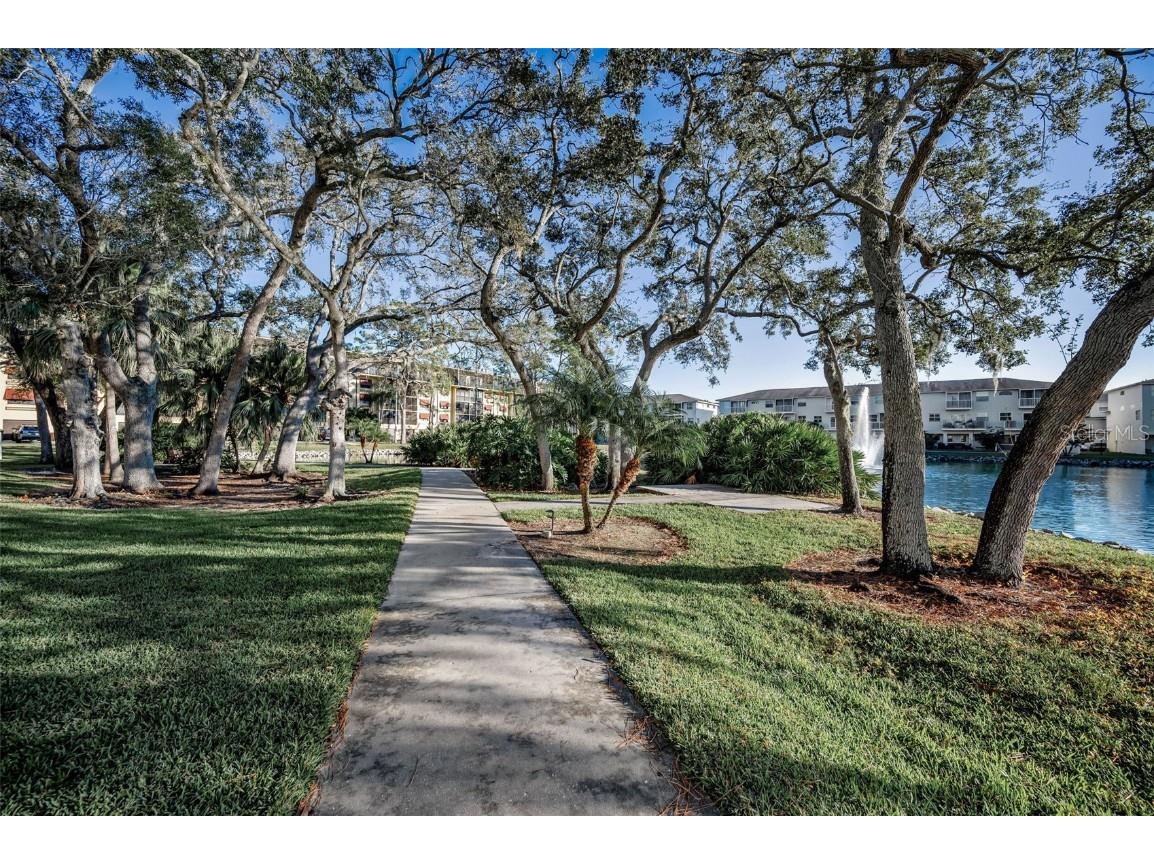 5775 Park Street N #211 Saint Petersburg FL 33709 - COMMUNITY POND TB8448734 image60