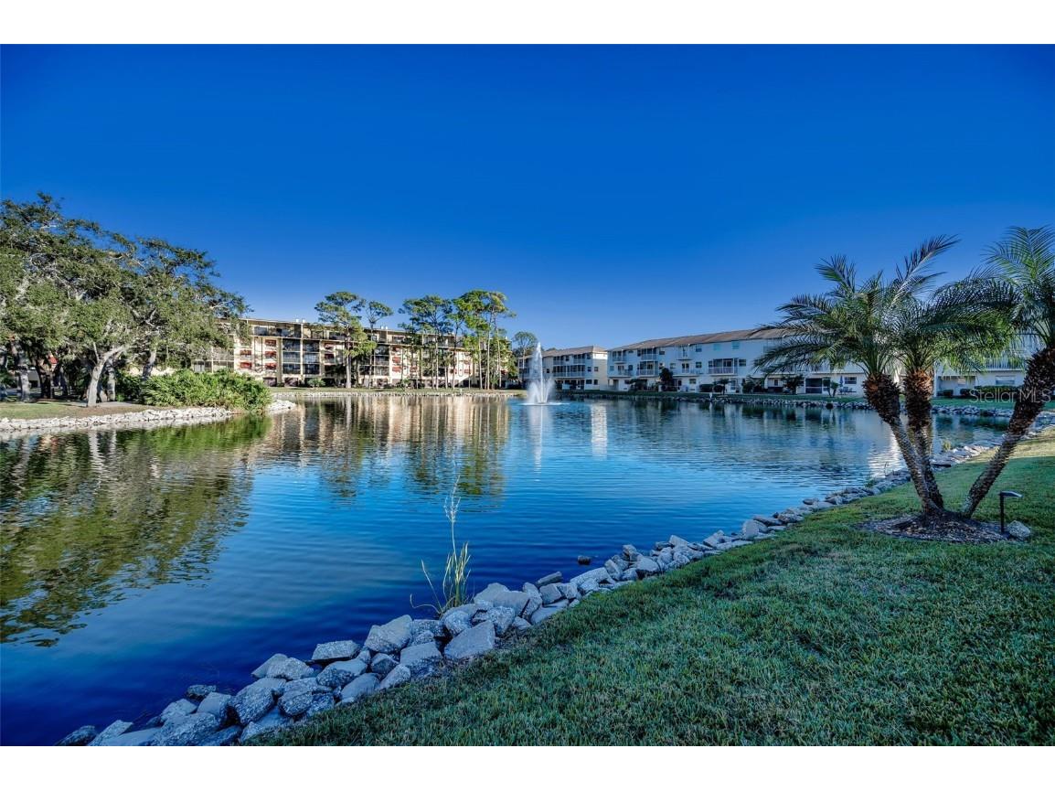 5775 Park Street N #211 Saint Petersburg FL 33709 - COMMUNITY POND TB8448734 image62
