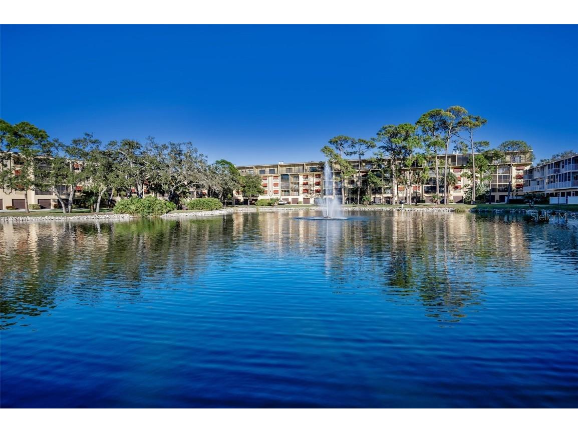 5775 Park Street N #211 Saint Petersburg FL 33709 - COMMUNITY POND TB8448734 image63