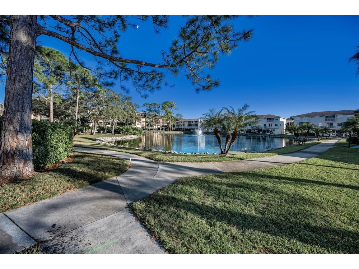 5775 Park Street N #211 Saint Petersburg FL 33709 - COMMUNITY POND TB8448734 image64