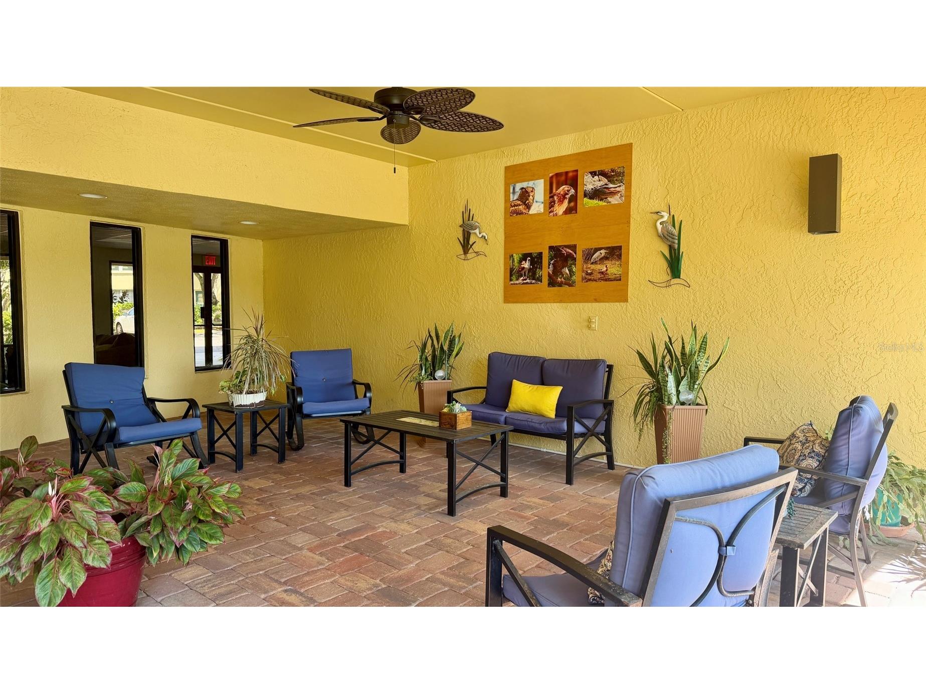 5775 Park Street N #410 Saint Petersburg FL 33709 A4693432 image27