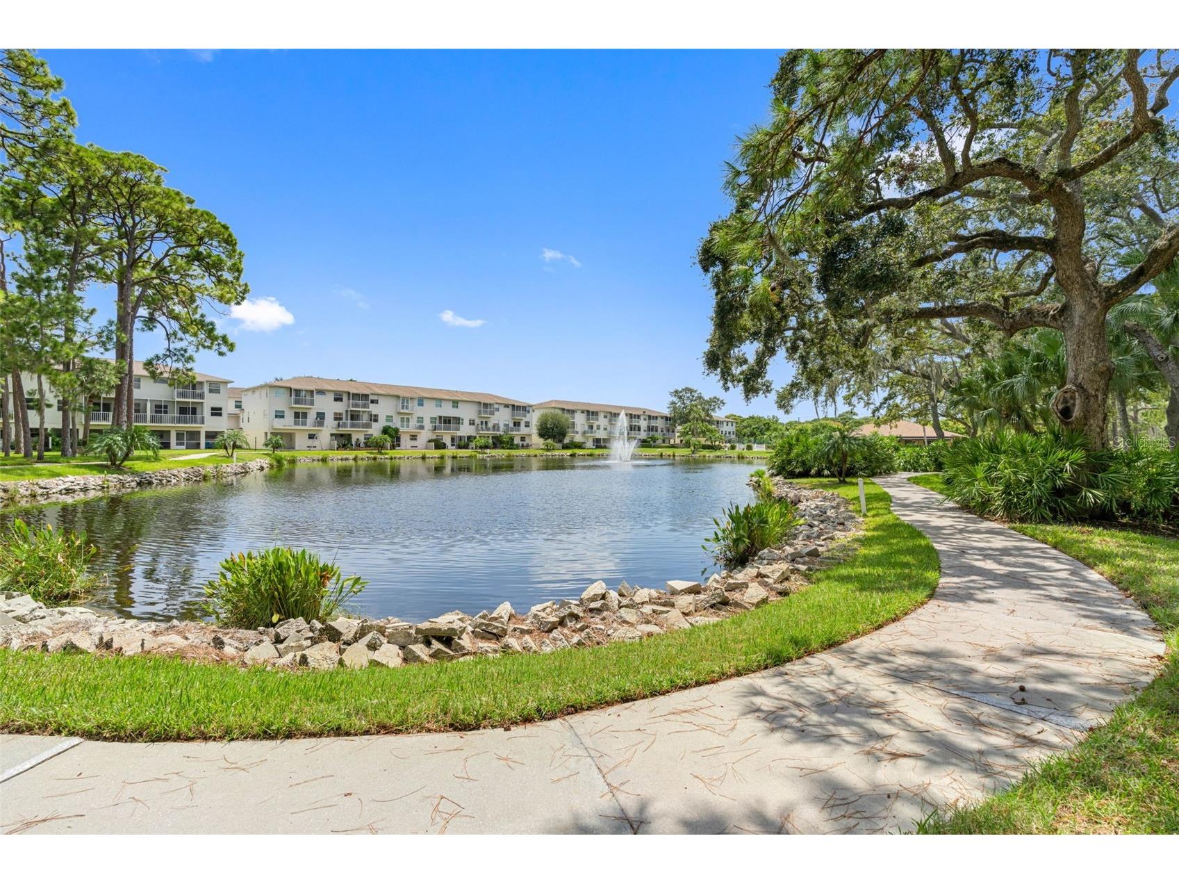 5775 Park Street N #411 Saint Petersburg FL 33709 TB8475070 image41