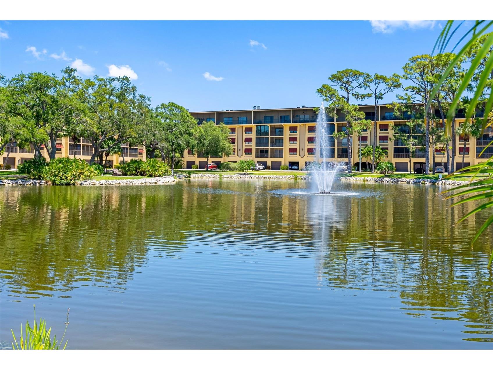 5775 Park Street N #411 Saint Petersburg FL 33709 TB8475070 image42