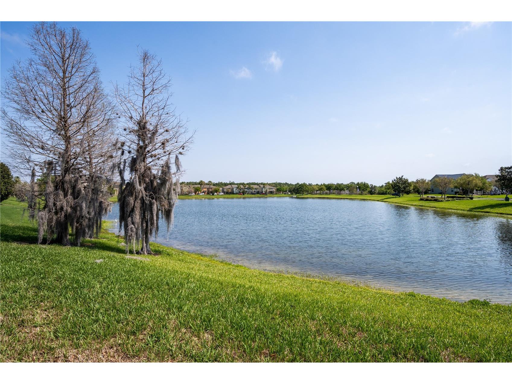 5778 Laurel Cherry Avenue Winter Garden FL 34787 O6395452 image31