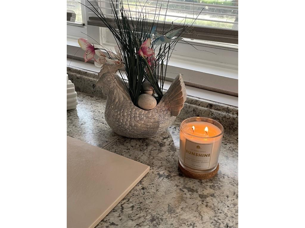 578 3rd Street Daytona Beach FL 32117 O6317249 image18