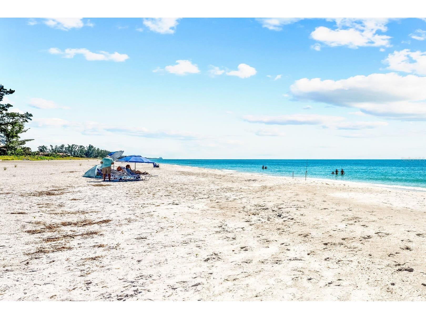 578 - 580 Companion Way Longboat Key FL 34228 A4682264 image10