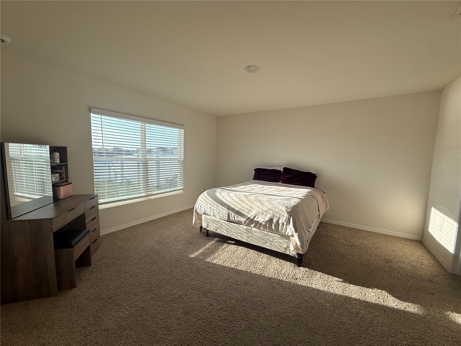 578 Olive Conch Street Ruskin FL 33570 TB8512551 image10