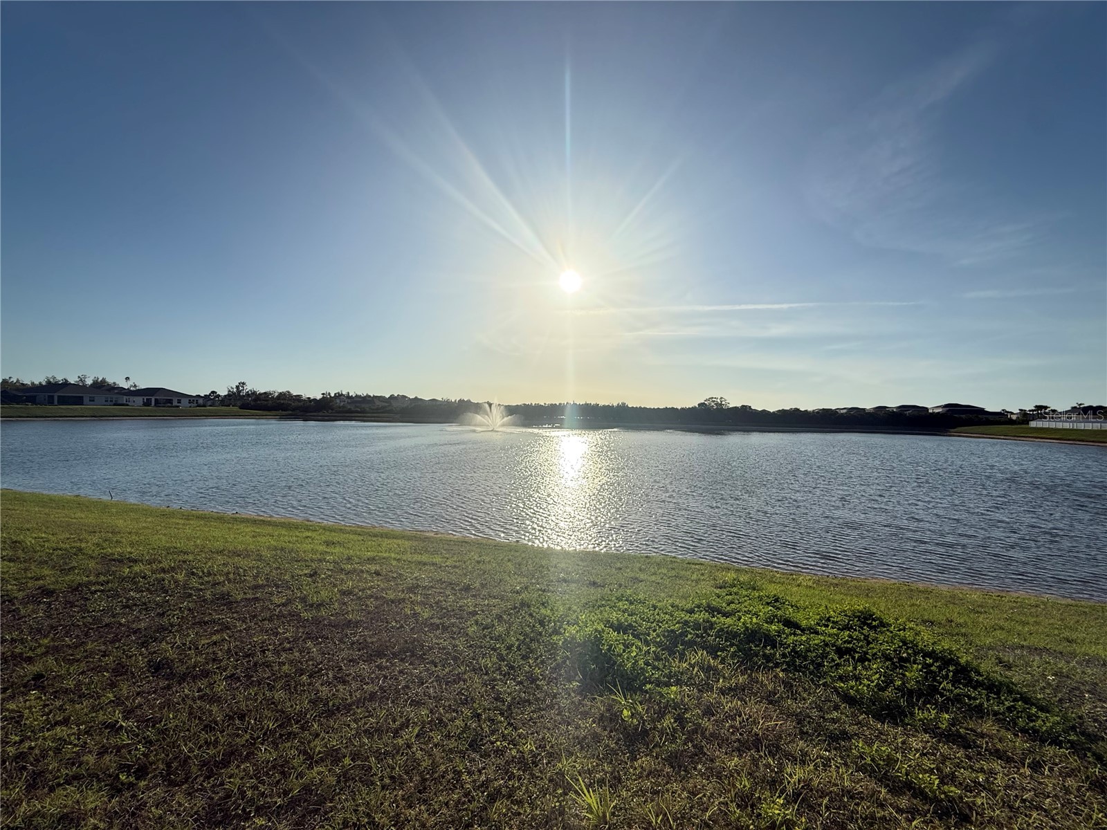 578 Olive Conch Street Ruskin FL 33570 TB8512551 image5