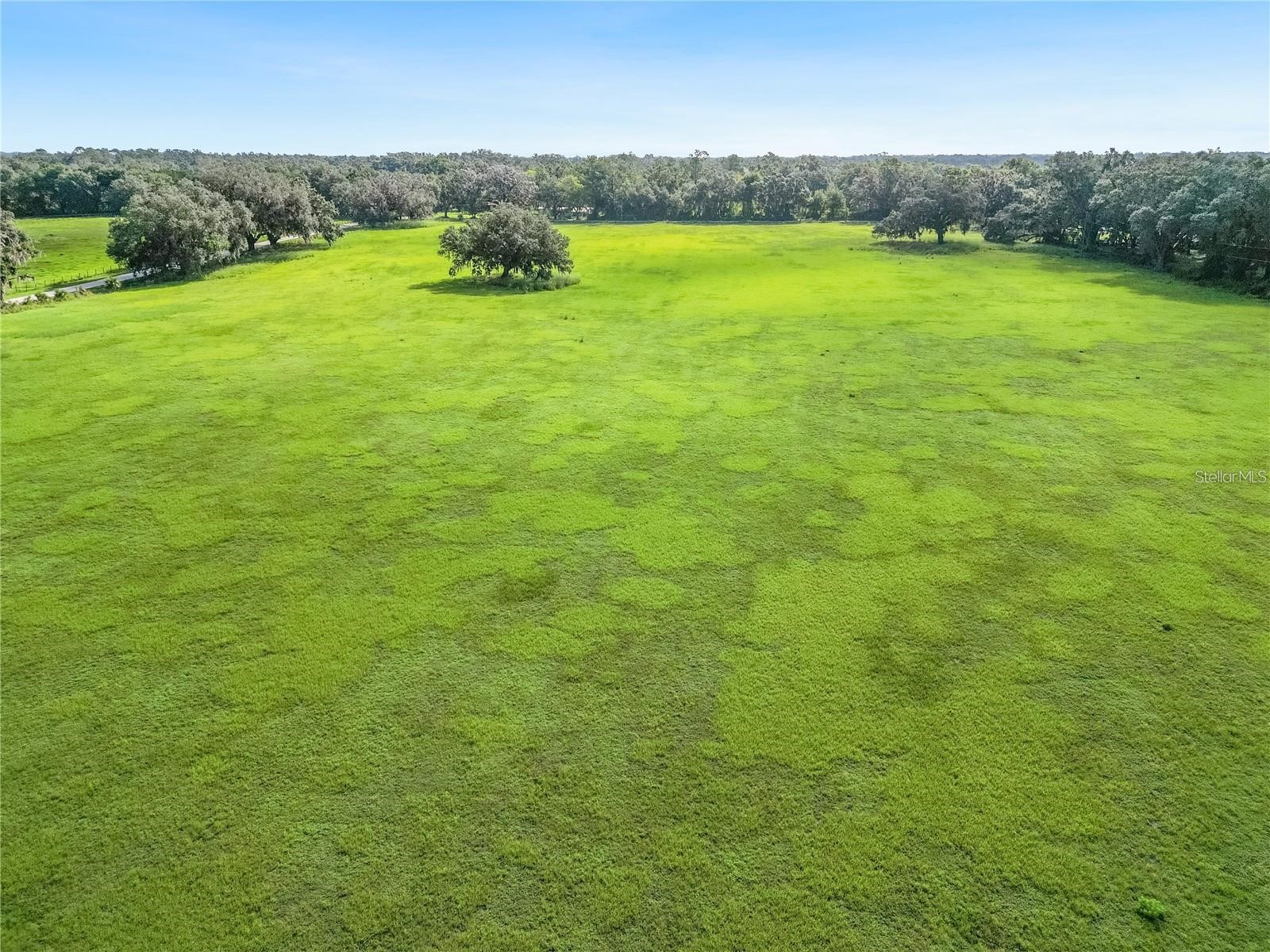 5780 Cr 569 Center Hill FL 33514 O6406321 image1