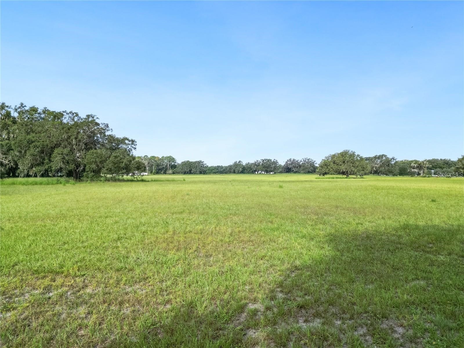 5780 Cr 569 Center Hill FL 33514 O6406321 image3