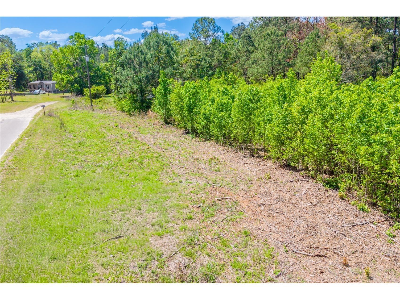 5781 SW 91st Place Lake Butler FL 32054 GC539414 image6