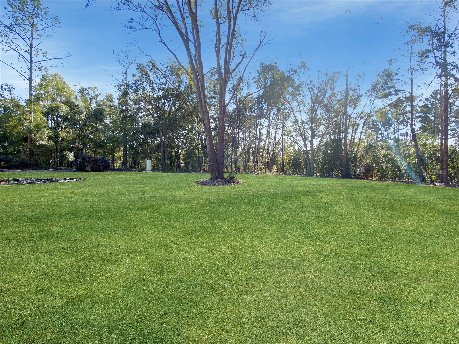 5783 NE 51st Terrace High Springs FL 32643 GC537570 image7