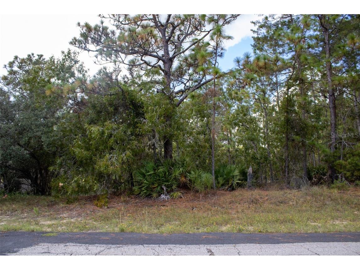 5784 N Durango Terrace Beverly Hills FL 34465 W7880605 image3